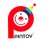 Pintoy