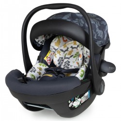 Cosatto Acorn I-Size 0+ Car Seat, Nature Trail Shadow