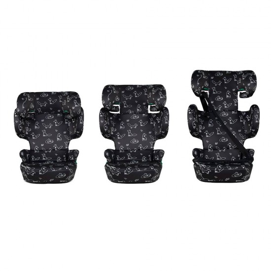 Cosatto Ninja i-Go R129 Travel Car Seat, Foxed