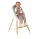 Jane Wooddy Evoltionary Highchair, Organics