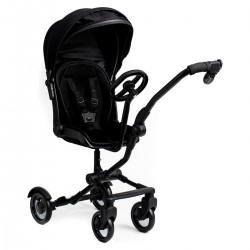 Roma Side Rider + Toddler Seat