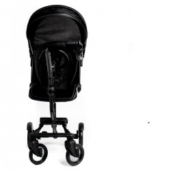 Roma Side Rider + Toddler Seat