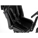 Roma Side Rider + Toddler Seat Roma Side Rider + Toddler Seat