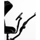 Roma Side Rider + Toddler Seat Roma Side Rider + Toddler Seat