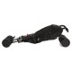 Roma Star Stroller, Teddy Black Roma Star Stroller, Teddy Black